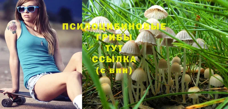 Галлюциногенные грибы MAGIC MUSHROOMS  ОМГ ОМГ рабочий сайт  Агидель  цена  